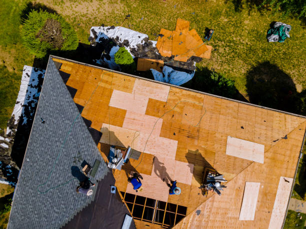 Best Metal Roofing Contractor  in New Ulm, MN